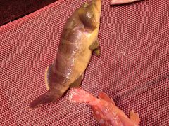 -吴记富苑(朝阳店)