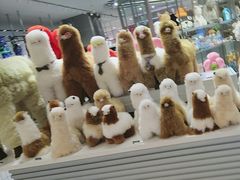 -微缤礼物(青岛海信广场店)