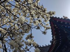 -西安市广仁寺