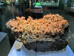 -湖南省地质博物馆