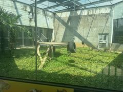 -武汉动物园