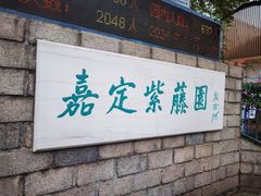 -嘉定紫藤园