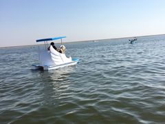 -碧海金沙