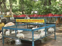 -南宁市动物园