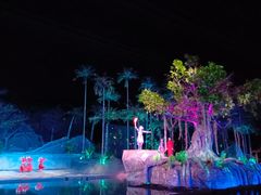 -三亚红色娘子军演艺公园景区