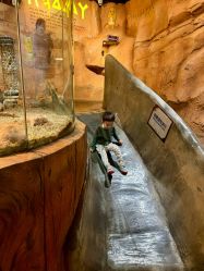 -Zoolung Zoolung动物主题公园(海信广场店)