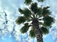 -西昌邛海宾馆
