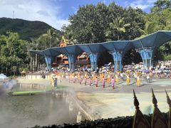 -西双版纳原始森林公园