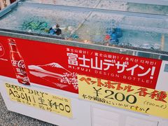 -富士山吉田線五合目