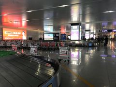 -哈尔滨太平国际机场