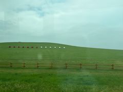 -诺敏塔拉奶茶-布里亚特包子-手把肉(锦都会店)