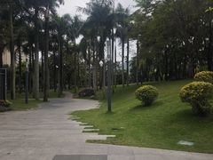 -四海公园(南山区)