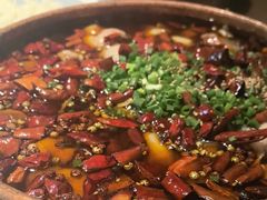 -向川南·水煮鱼·川菜(和平里店)