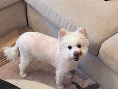 -宠宠熊宠物美容(星湖街店)