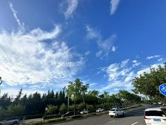 -洨河生态公园