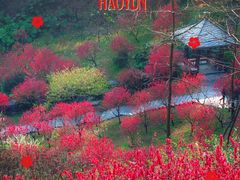 -桃花涧
