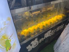 -猫的魔法密林(衣裳街店)