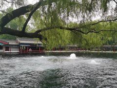 -百脉泉景区