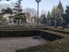 -黄村公园