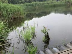 -西湖风景区-江洋畈生态公园