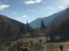 -叠溪松坪沟景区