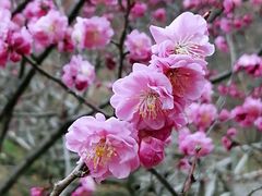 -香山公园