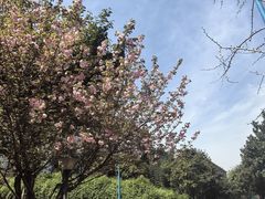 -西南政法大学(渝北校区)