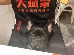-大斌家串串火锅(万国城店)