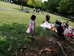 -南沙蒲洲花园