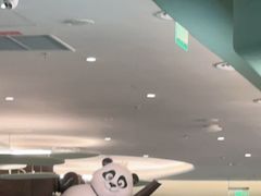 -眉州东坡·熊猫主题餐厅(枫蓝店)