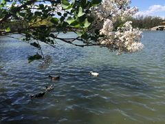 -北京小汤山医院体检中心