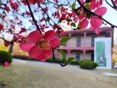 -上海交通大学董浩云航运博物馆