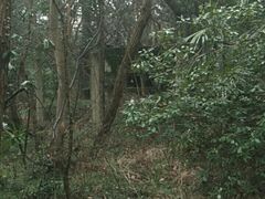-廖仲恺何香凝墓
