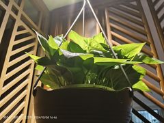-合和大唐(江夏纸坊店)