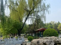 -宣武艺园