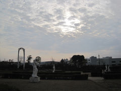 夕阳-环球公园