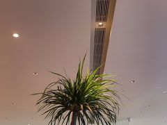 -桂满陇·蟹黄小笼汤包(巴黎春天浦建店)