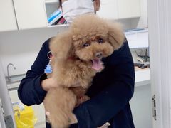 -达爱动物医院·犬猫分区·CT·复杂眼科(远洋山水分院)