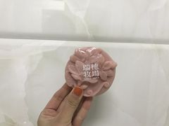 -瑞穗牧场