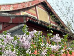 -春风习习