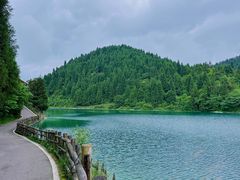 -武陵山森林公园