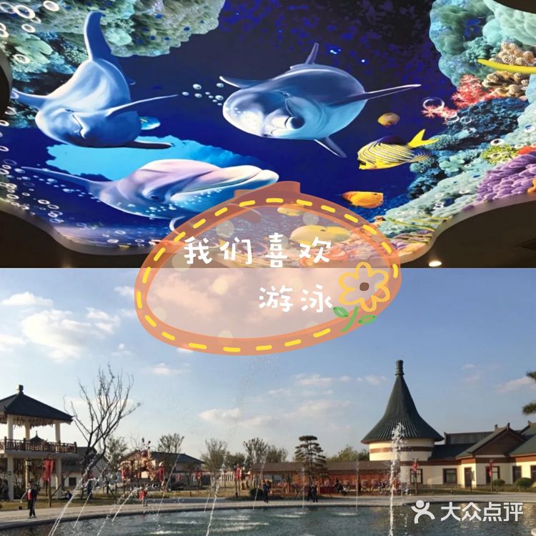 游泳健将一起玩