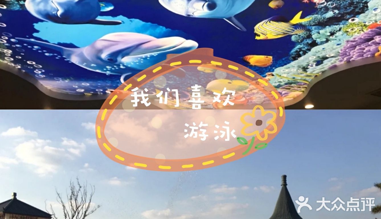 游泳健将一起玩