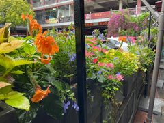 -老友王·南宁特色菜(金汇如意坊店)
