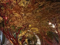 -鱼桥巷·美学川菜