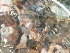 -晓伟海鲜家常菜