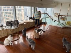 -Catmate·猫肥家润(金润铂宫店)