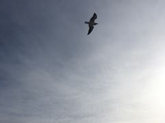 -网走流冰观光破冰船极光号