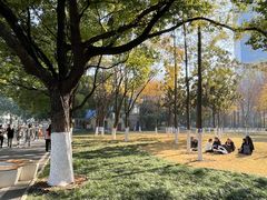 -西北湖绿化广场