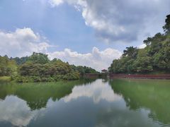 -广州白江湖森林公园